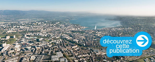Niveaux de vie et inégalités de revenus dans le Grand Genève
